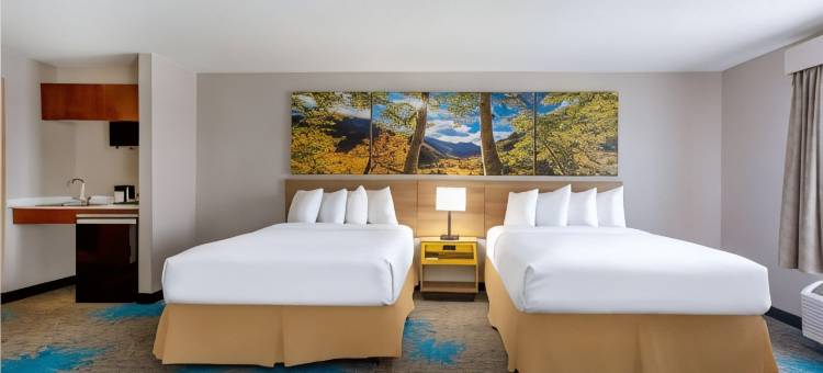 丹佛国际机场戴斯套房酒店(Days Inn & Suites by Wyndham Denver International Airport)图片