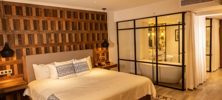 英迪格瓜达拉哈拉博览会酒店，洲际酒店集团(Hotel Indigo GUADALAJARA EXPO by IHG)图片