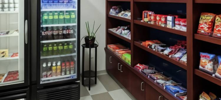 韦斯特福德切姆斯福德欢朋套房酒店(Hampton Inn & Suites Westford-Chelmsford)图片