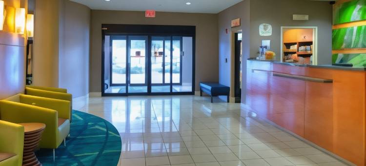 坦帕布兰登万豪SpringHill酒店(SpringHill Suites Tampa Brandon)图片