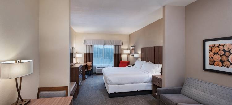 智选假日套房酒店-奥斯汀西南/福朋(Holiday Inn Express & Suites AUSTIN NW - FOUR POINTS by IHG)图片