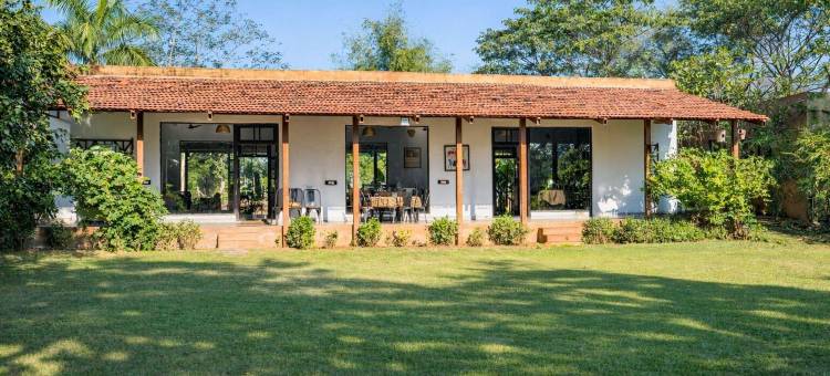 马胡阿托拉塔多巴(Mahua Tola Tadoba)图片