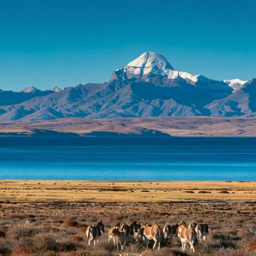 西藏阿里+拉萨+日喀则9日8晚拼小团