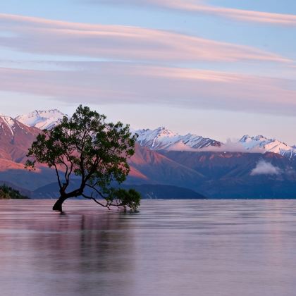 新西兰8日6晚私家团