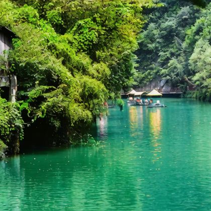 陕西商南金丝峡景区+棣花古镇2日1晚跟团游