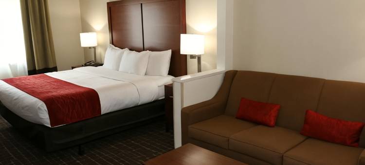 威奇托福尔斯舒适酒店-近大学(Comfort Inn Wichita Falls Near University)图片