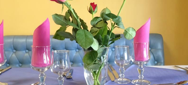 海豚酒店(Hotel le Dauphin)图片