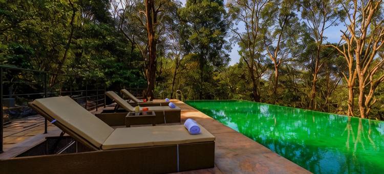 Wayanad Wild- CGH Earth图片