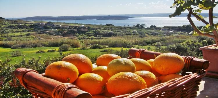 Great Location: FREE Gozo transfers, WIFI, Bicycles & BBQ  – NO Car required!图片