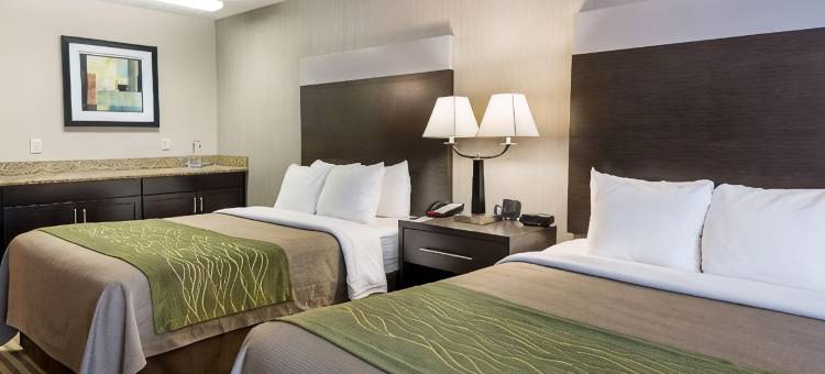 肯顿舒适酒店(Comfort Inn Camden)图片