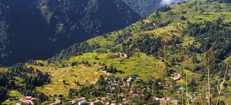 月亮咖啡馆和住宿酒店(Moon Hotel Tungnath)图片