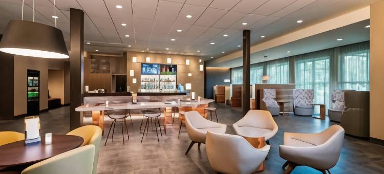坦帕西北-老兵高速公路万怡酒店(Courtyard Tampa Northwest/Veterans Expressway)图片
