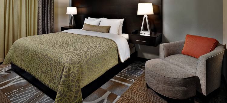 Staybridge Suites 休斯顿斯塔福德 - 舒格兰(Staybridge Suites HOUSTON STAFFORD - SUGAR LAND by IHG)图片