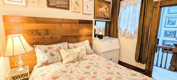 位置绝佳 - 4卧室，1浴室 - 旧金山艺术家的翻新红杉木住宅公寓(Perfect Location - 4BD,1BA - Restored Redwood Home of SF Artists)图片