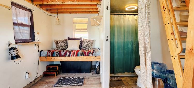 巢: 微型小屋(The Nest: Tiny Home)图片