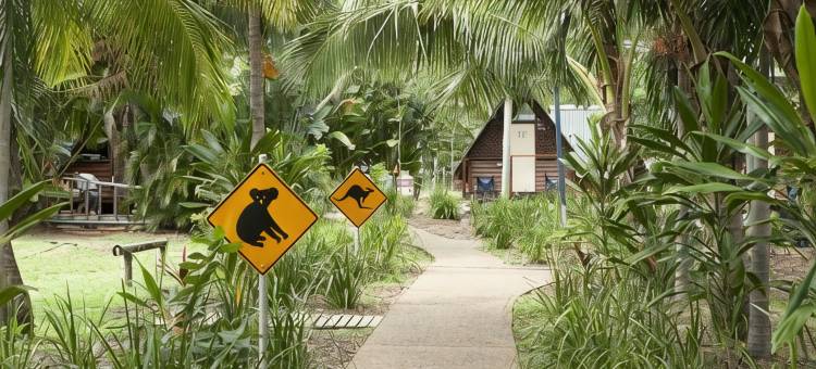 玛格内特岛Bounce考拉公园青年旅馆-原名Roamer(Bounce Magnetic Island and Koala Park - Formerly Roamer)图片
