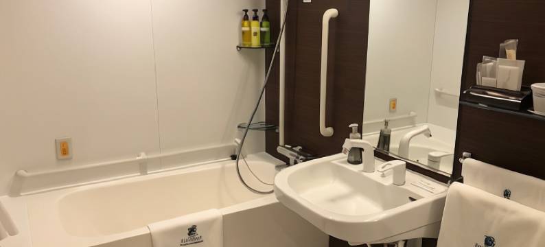 利夫马克斯酒店-东京秋叶原北店(HOTEL LiVEMAX Akihabara Kita)图片