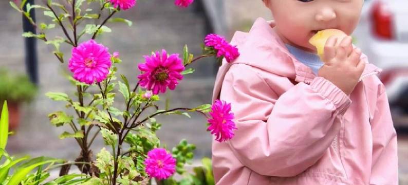 石头小筑民宿(文昌北路分店)图片