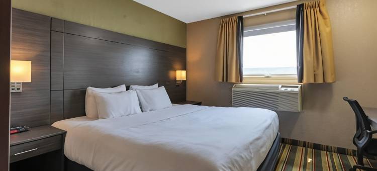 凯艺套房酒店(Quality Inn & Suites)图片