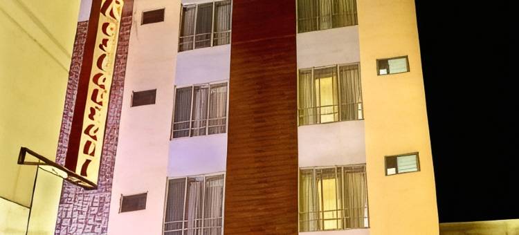 向日葵酒店(Hotel Sunflower Udaipur)图片