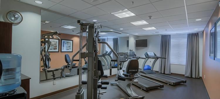 南阿拉巴马大学区舒适套房酒店(Comfort Suites Mobile-South Alabama University Area)图片