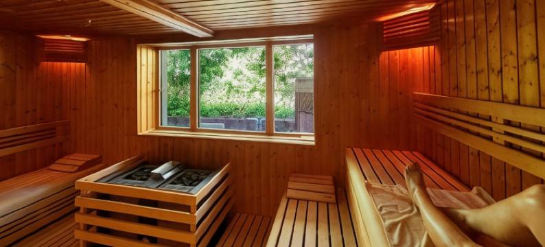 希伊瓦尔德酒店(Waldhaus am See)图片