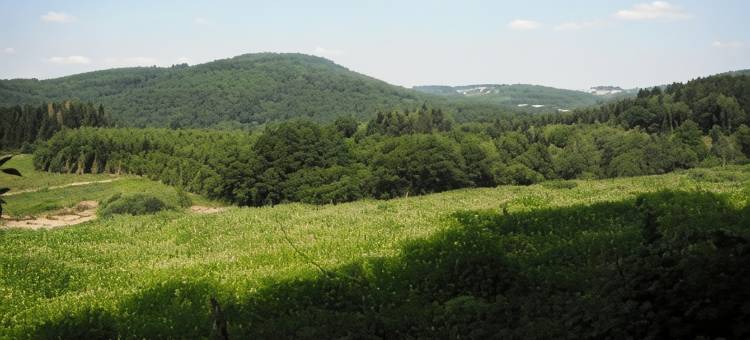 勃艮第酒店(Hotel de Bourgogne)图片
