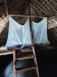 Mida Creek Eco Camp - Lodge - 2 Sao