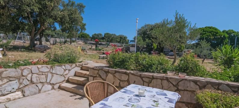 Bonic公寓(Apartments Bonic)图片