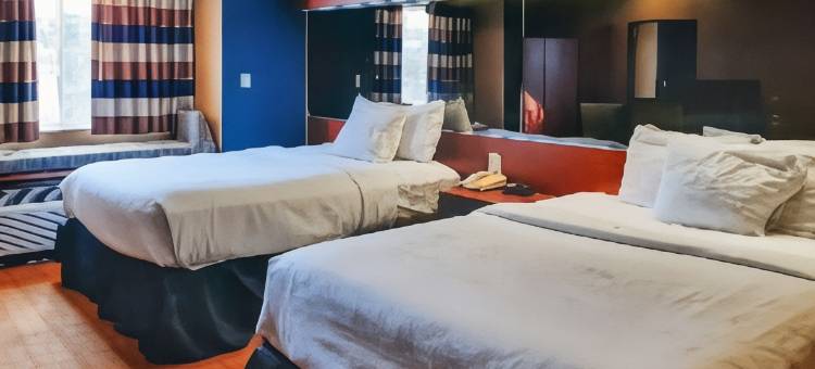 温德姆斯塔克维尔麦客达套房酒店(Starkville Inn & Suites)图片