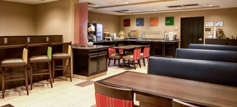 夏洛特洲际套房酒店(Charlotte Suites by IHG)图片