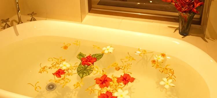 所罗门其塔诺曼达纳酒店(Solomon Kitano Mendana Hotel)图片