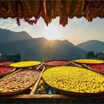 黄山风景区+宏村景区+千岛湖景区+西递+婺源篁岭景区5日4晚跟团游