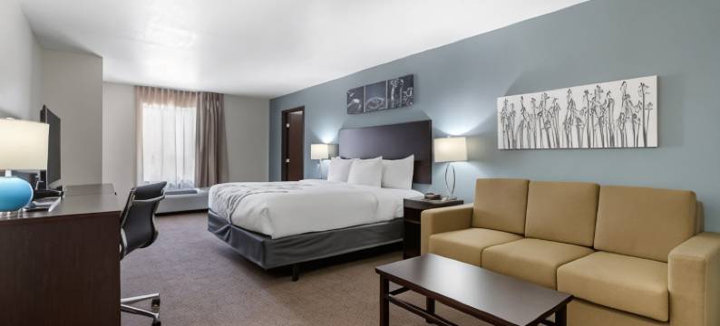 安克尼-得梅因舒眠套房酒店(Sleep Inn & Suites Ankeny - des Moines)图片