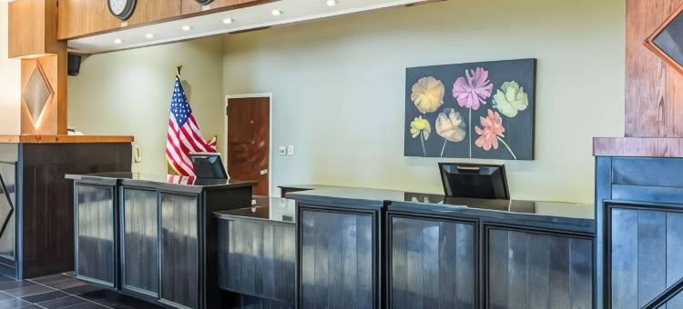 萨默塞特凯隆酒店-新不伦瑞克(Clarion Hotel Somerset - New Brunswick)图片