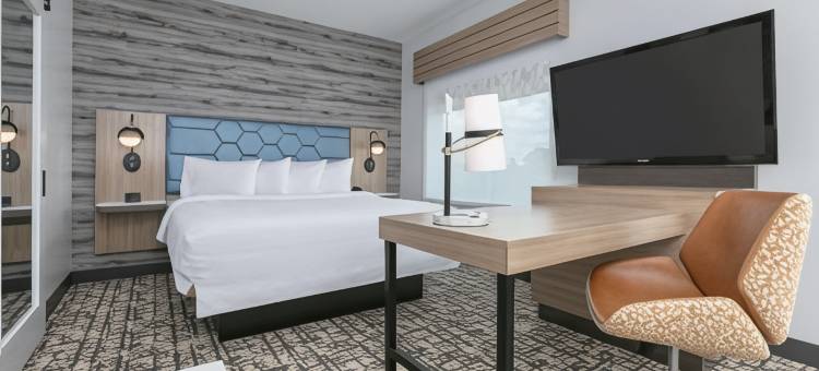 谢南多厄伍德兰希尔顿欢朋酒店(Hampton Inn & Suites by Hilton Shenandoah the Woodlands)图片