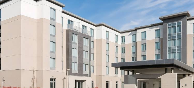 印第安纳波利斯 - 基斯通希尔顿欢朋套房酒店(Hampton Inn & Suites Indianapolis/Keystone)图片