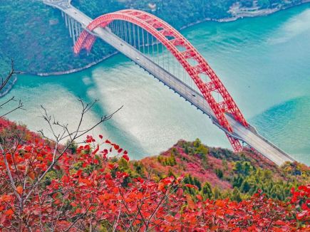 三峽紅葉季啟：賞百里紅葉畫卷