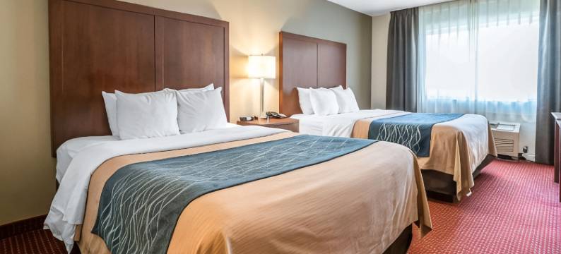 莱西舒适酒店(Comfort Inn Lacey - Olympia)图片