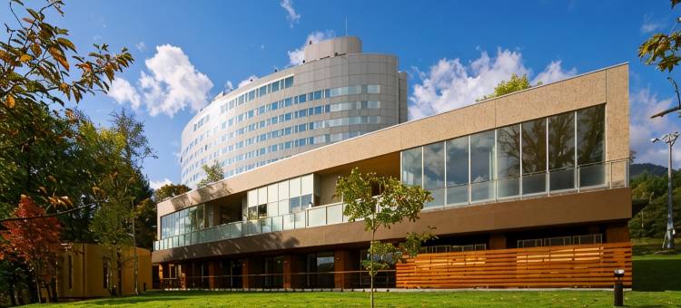 新富良野王子大饭店(Shin Furano Prince Hotel)图片