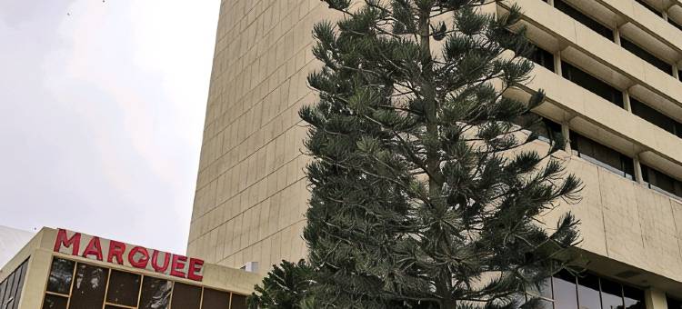 卡拉奇万豪酒店(Karachi Marriott Hotel)图片
