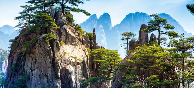 遇见·未迟民宿(黄山景区汤口南大门店)图片