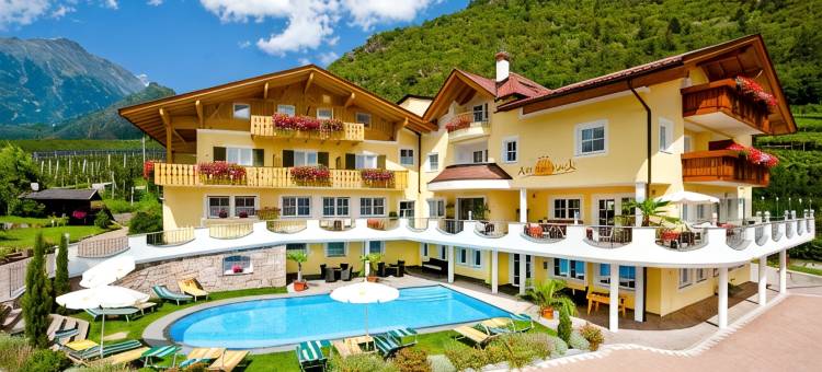 阿姆索奈可酒店(Hotel am Sonneck)图片