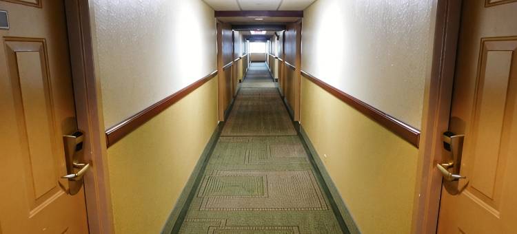 阿灵顿高地戴斯套房酒店(Days Inn & Suites by Wyndham Arlington Heights)图片
