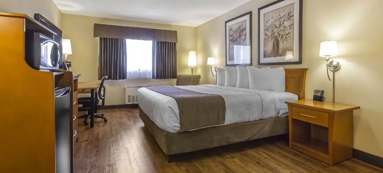 凯艺套房酒店(Quality Inn & Suites)图片