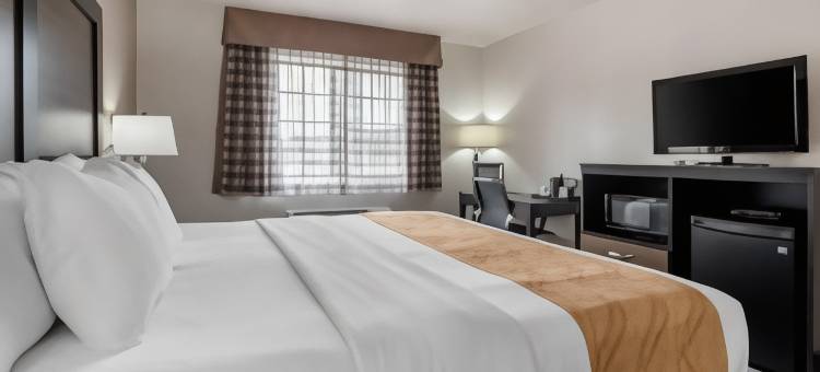 凯艺套房酒店(Quality Inn & Suites)图片