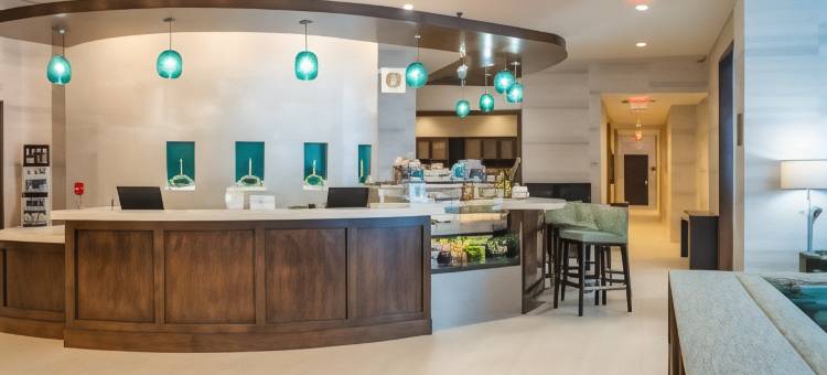 西棕榈滩市区凯悦嘉轩酒店(Hyatt Place West Palm Beach Downtown)图片