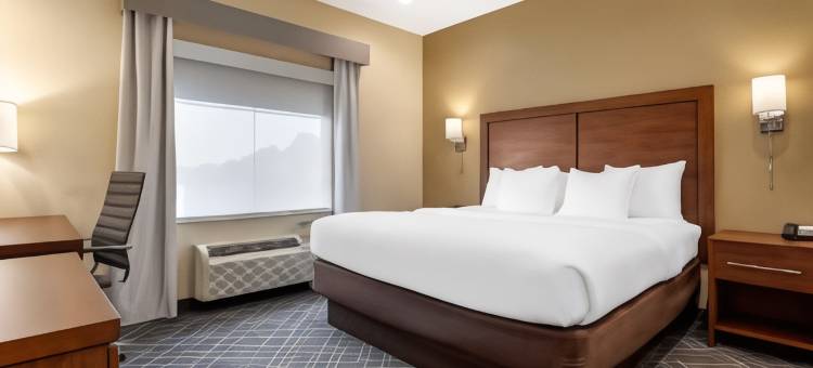 舒适套房酒店(Comfort Suites)图片