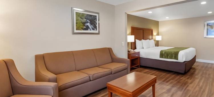 毕晓普舒适酒店(Comfort Inn Bishop)图片