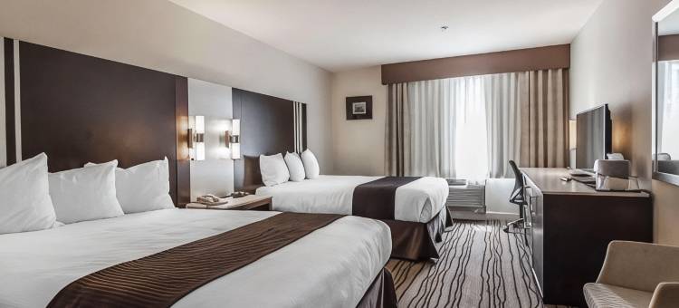 温哥华机场Comfort酒店(Comfort Hotel Vancouver Airport)图片